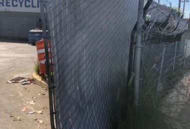 WhatsApp Image 2020-05-22 at 4.03.37 PM (1)