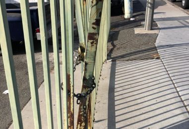 WhatsApp Image 2020-05-22 at 4.03.53 PM (1)