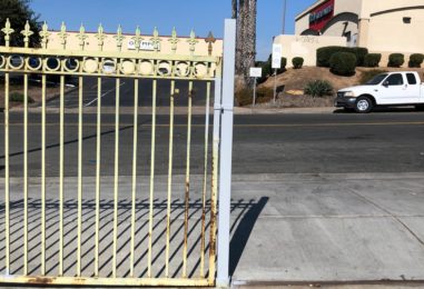 WhatsApp Image 2020-05-22 at 4.03.53 PM (2)