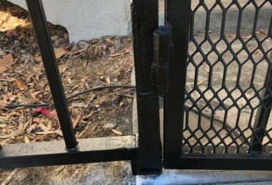 WhatsApp Image 2020-05-22 at 4.03.54 PM (5)