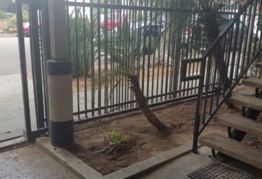 WhatsApp Image 2020-05-22 at 4.07.26 PM