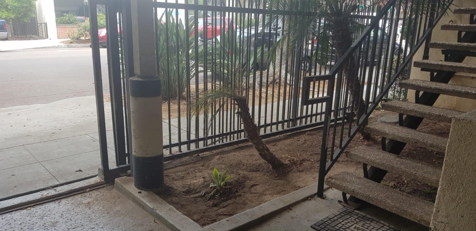 WhatsApp Image 2020-05-22 at 4.07.26 PM