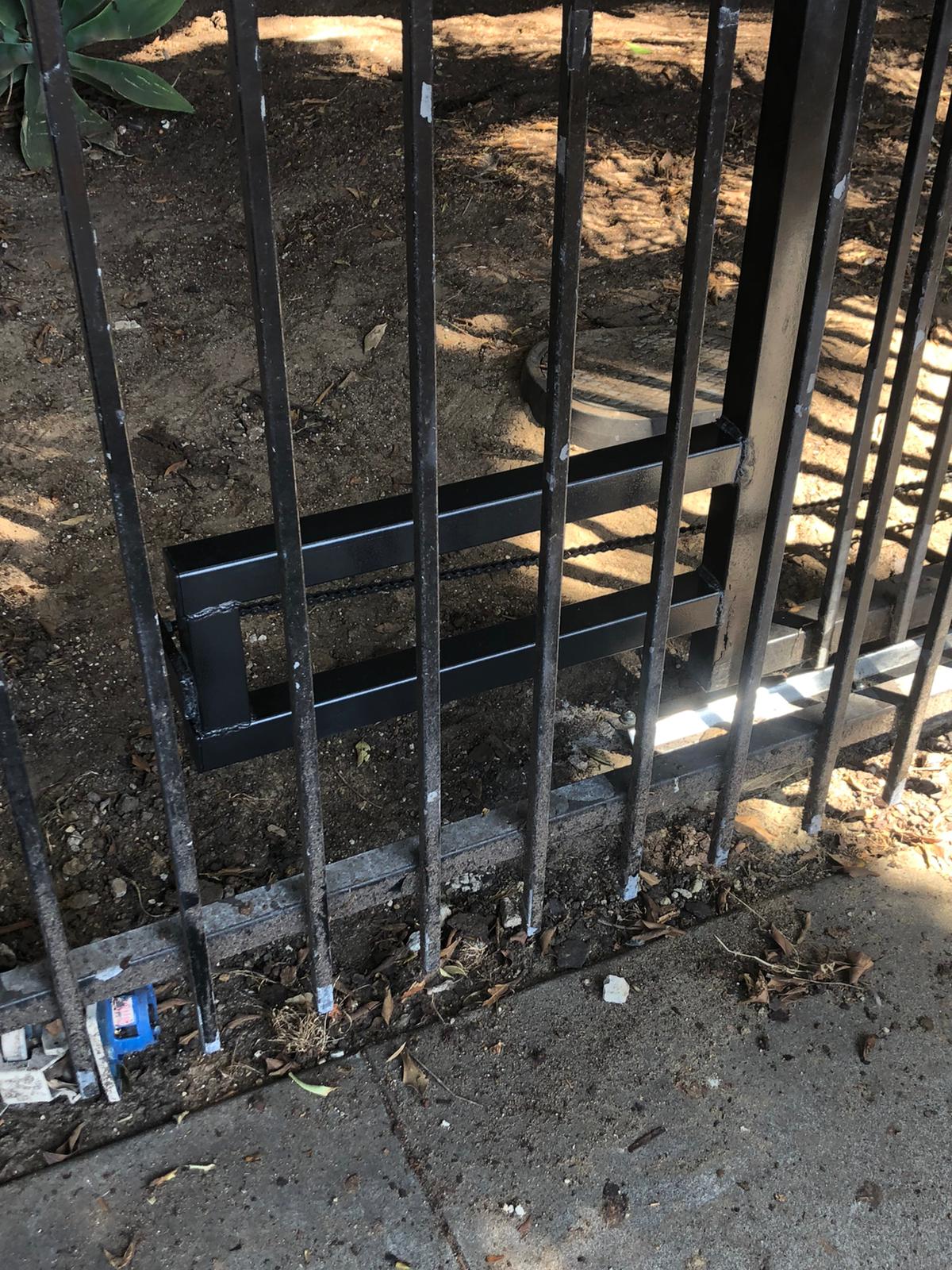 WhatsApp Image 2020-05-22 at 4.07.28 PM